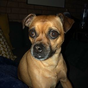 Meet your Posher, Enza